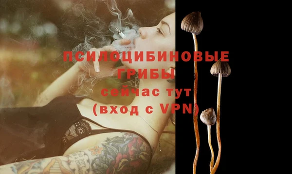 Альфа ПВП Балахна