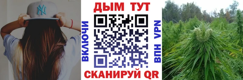 Бошки Шишки конопля  где купить наркоту  Олёкминск 